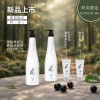 Line好友限定-IRIYA伊麗雅沙龍黑醋栗賦活養髮洗髮精1000ML(買一送三)