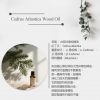 IRIYA伊麗雅植萃淨化洗髮精500ML二入組(買大送小加贈試用包)