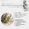 IRIYA伊麗雅植萃淨化洗髮精500ML二入組(買大送小加贈試用包)