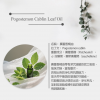 IRIYA伊麗雅植萃淨化洗髮精500ML二入組(買大送小加贈試用包)