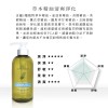 雙11限時買大送大IRIYA伊麗雅植萃淨化洗髮精500ML(買大送大加贈試用包)